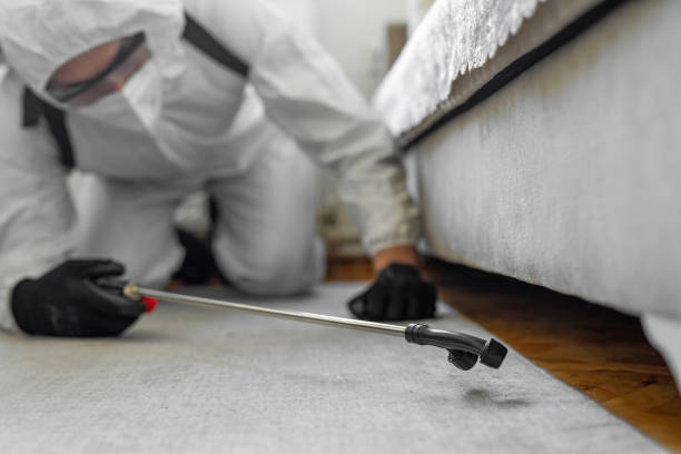 Professional Ant Control technician working in Campti, LA